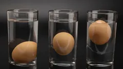 Eiertest im Wasser: Ein einfacher Trick, der in 10 Sekunden die Frische aufdeckt